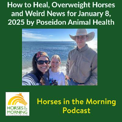How to Heal, Overweight Horses and Weird News for January 8, 2025 by Poseidon Animal Health and State Line Tack