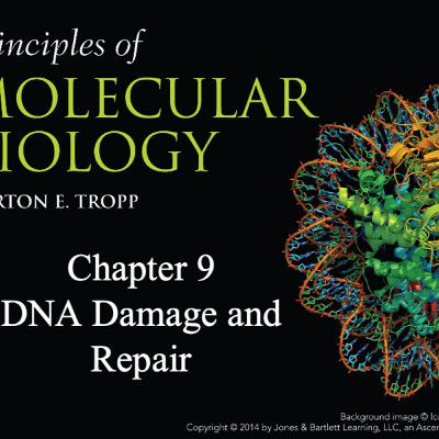 DNA Damage and Repair Tropp Chapter 9