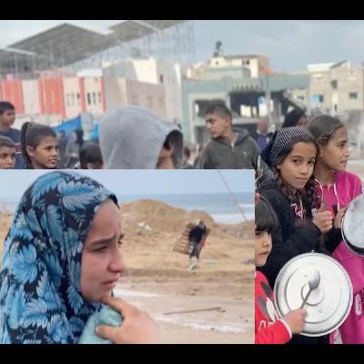 Episode 244 - Zionism resulting in apartheid and genocide, sacrificing safety and security for everyone