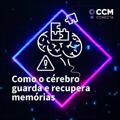 Como o cérebro guarda e recupera memórias