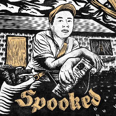 The Paperboy - Classic