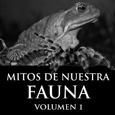 EP12 - Mitos de nuestra fauna - Vol. 1 EP12 - Mitos de nuestra fauna - Vol. 1