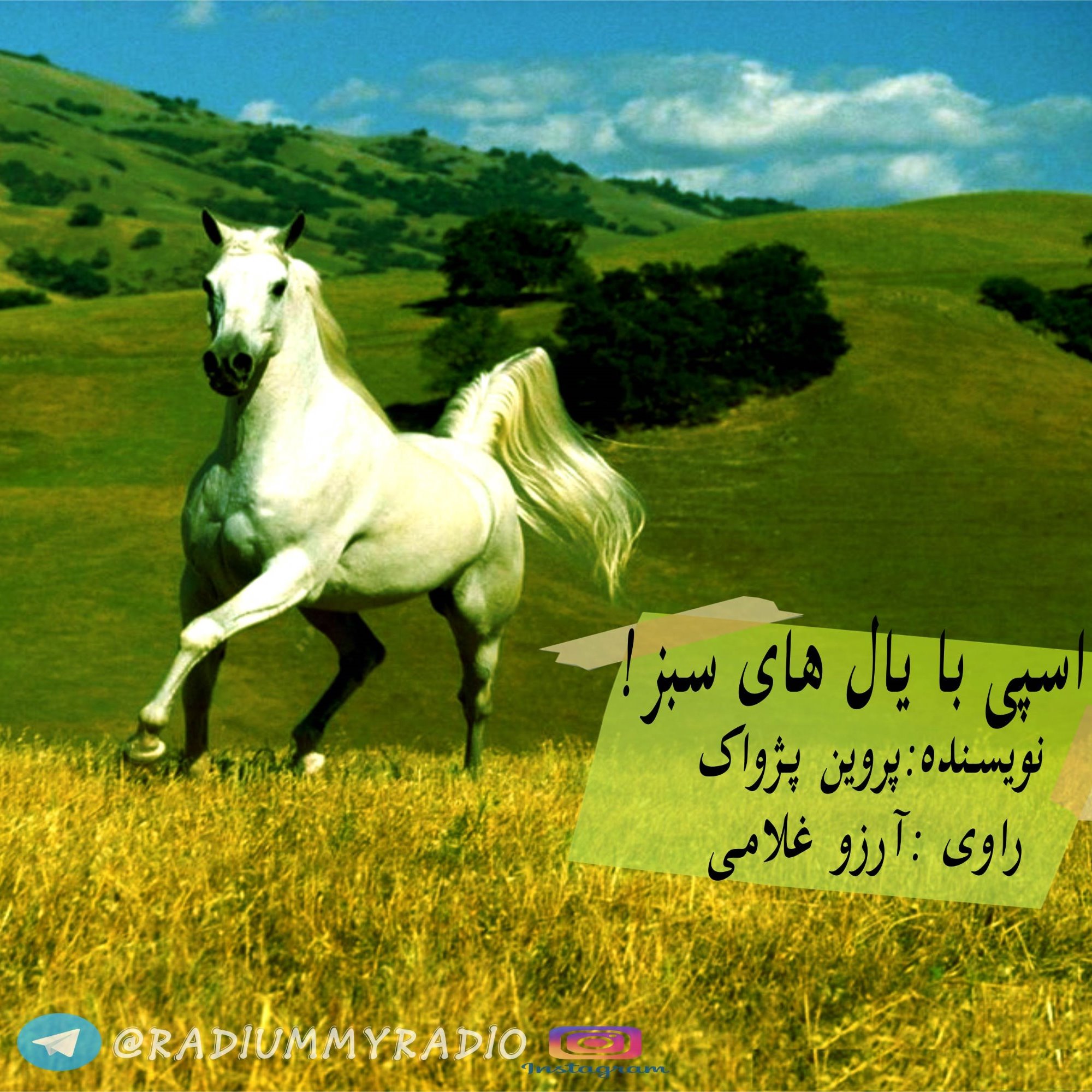 راوی - قسمت2
