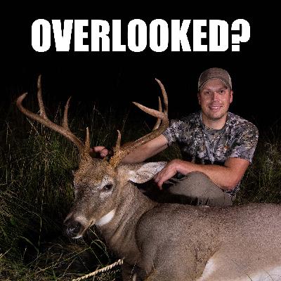 The Most Overlooked Aspect of Hunting BIG Deer! The Most Overlooked Aspect of Hunting BIG Deer!