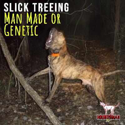 Slick Trees: Genetic or Man Made