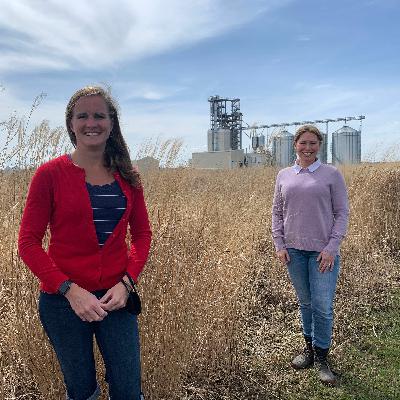 Illinois Regenerative Agriculture Interview with WITY's Dennis Michelson