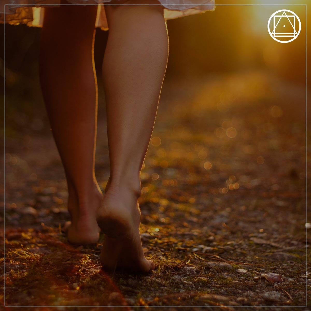 #87 Quem somos nós? Quem é o peregrino que busca a verdade? #87 Quem somos nós? Quem é o peregrino que busca a verdade?