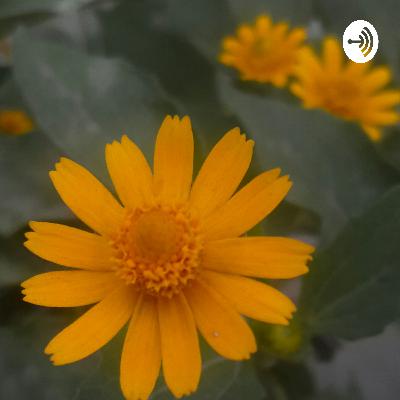 Supervisi pendidikan