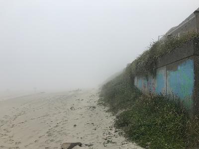 Optic Echo Presents 8/17/21