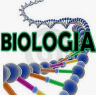 El impacto de la célula en el ser humano.