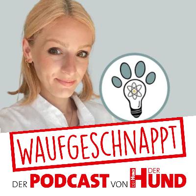 Wissen macht Wau - Die Zecken-Studien