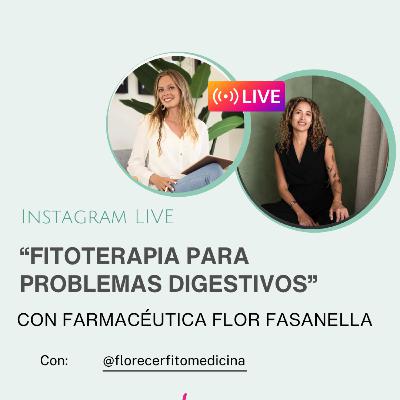 Fitoterapia para problemas digestivos