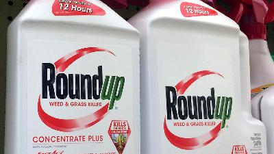 Bayer Must Pay Missouri Court Judgment