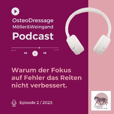 Warum der Fokus auf Fehler das Reiten nicht verbessert