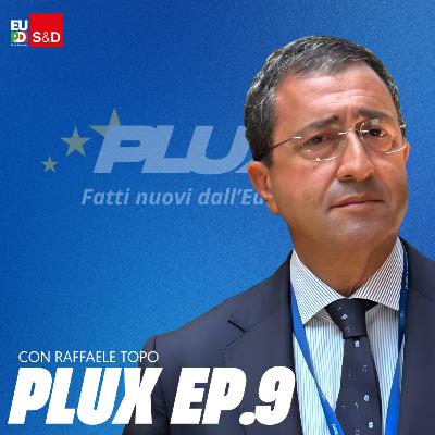 L'Europa vicina ai territori | con Raffaele Topo L'Europa vicina ai territori | con Raffaele Topo