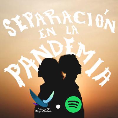 Podcast Separación en la pandemia