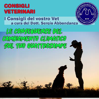 Le conseguenze del cambiamento climatico sul tuo quattro zampe