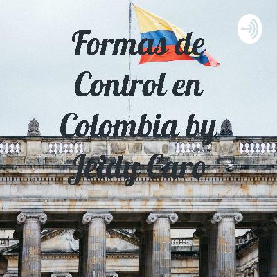 Jeidy Caro formas de control en Colombia