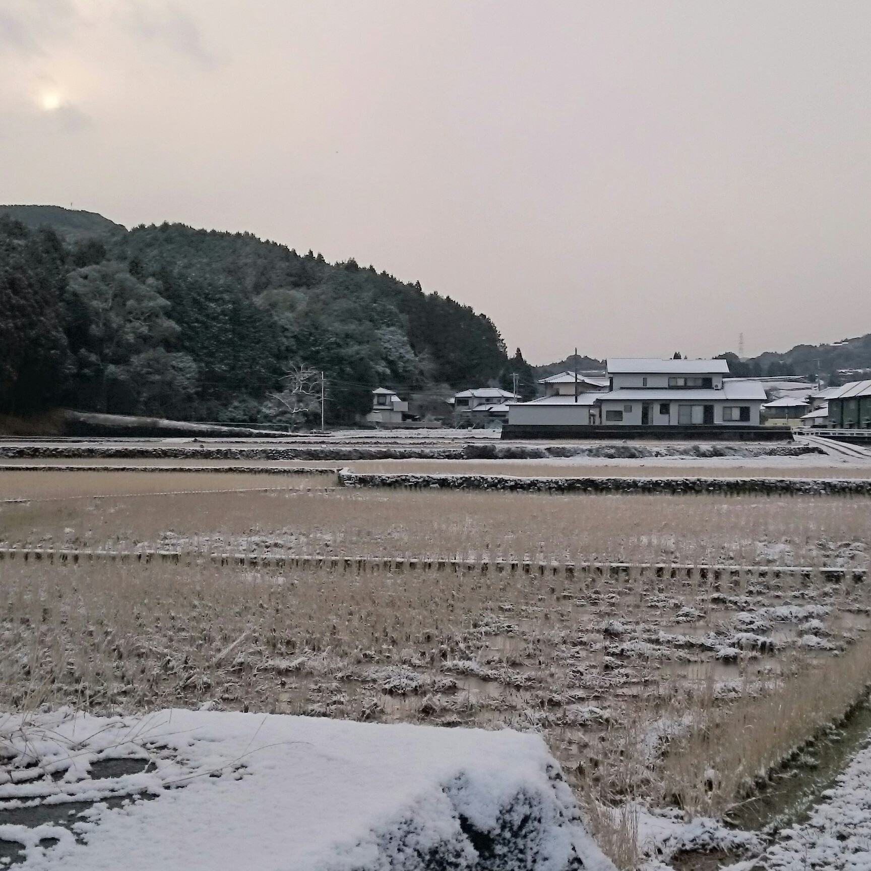 その103 雪の111赤い地球の開運お茶会 episode artwork