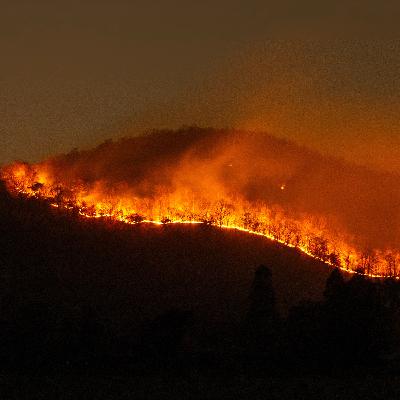Preparing for Wildfires: Getting Honest About Climate Change and Imperfect Advocacy Preparing for Wildfires: Getting Honest About Climate Change and Imperfect Advocacy