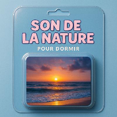 1 H Bruit Blanc pour DORMIR | Son des vagues de la mer en été | ASMR contre l'insomnie et pour le sommeil