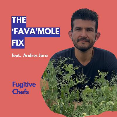 From Chef to Entrepreneur: The Fava Mole Journey
