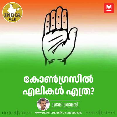 കോൺഗ്രസ്സിൽ എലികൾ എത്ര? | India File Podcast