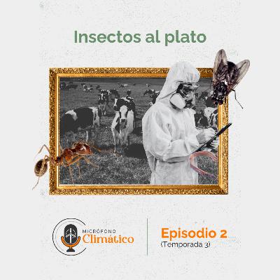 Insectos al plato