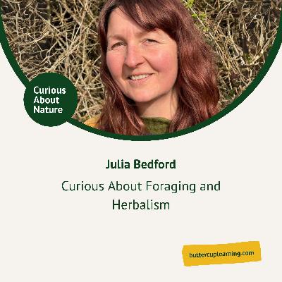 Curious About Foraging and Herbalism