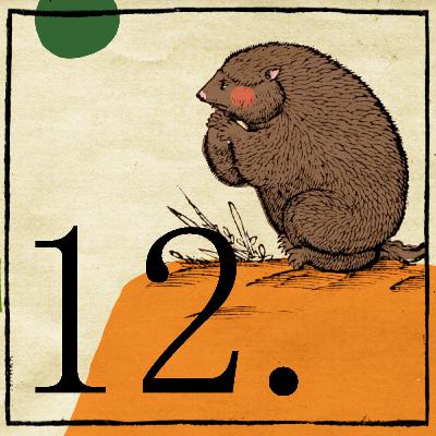 Rozdział 12 - ostatni