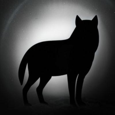 Kinovärgiga mandariin #347