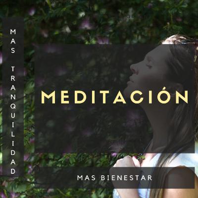 #004-La meditación desde el punto de vista de la neurociencia clínica!!