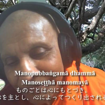 心の同義語　スマナサーラ長老の初期仏教Q&A｜ブッダの智慧で答えます（ZOOMで一問一答）