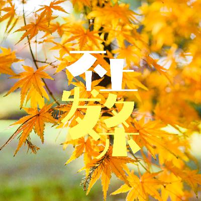 E13. 在宁静、阳光好的冬日里,活出喜悦 E13. 在宁静、阳光好的冬日里,活出喜悦