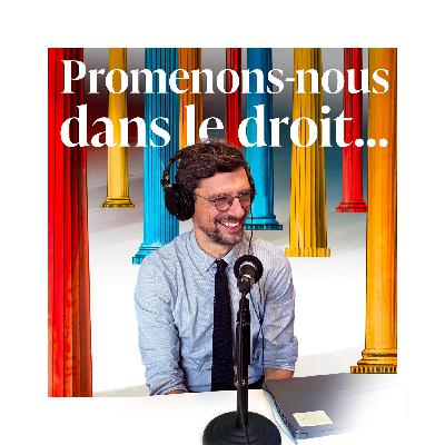 Episode 08 - Promenons-nous avec... Charles Touboul Moracchini [La fabrique de la loi]