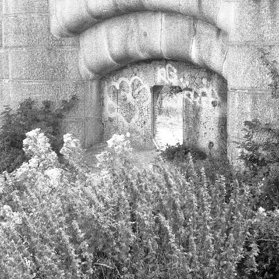 SONIC COMMONS #1 SONIC COMMONS #1