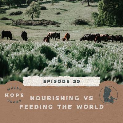 Nourishing vs Feeding the World