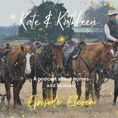 Kate and Kathleen - Episode 11. One or many horses?