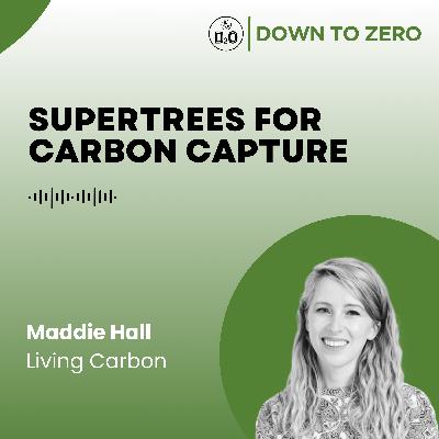 Supertrees for carbon capture - Maddie Hall from Living Carbon Supertrees for carbon capture - Maddie Hall from Living Carbon