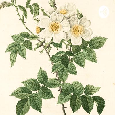 Historia Letona Historia Letona