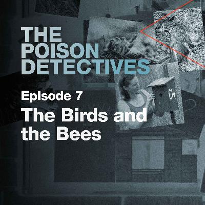 The Birds and The Bees