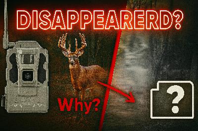 Trail Cam University: This Is Why Your buck disappeared