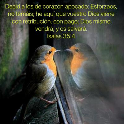 Isaías 35 Los rescatados de Jehovah volverán y entrarán en Sion con cánticos. Y sobre sus cabezas habrá alegría perpetua. Alcanzarán gozo y alegría, y huirán la tristeza y el gemido