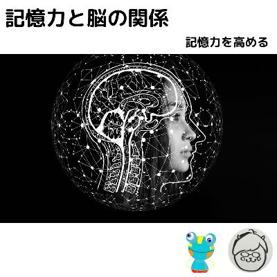 記憶力と脳の関係・記憶力を高めるためには 記憶力と脳の関係・記憶力を高めるためには