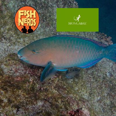 Erik Hoffner Mongabay and Sex with Clown Fish EP 348