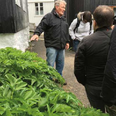 Stuttligar søgur úr gomlu Havnini (3:3)