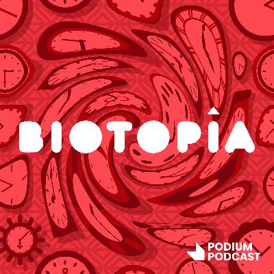 T02E05 - La multiplicidad