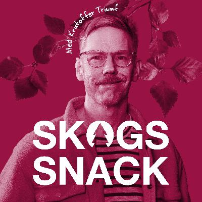 Epilog: Vad kan branschen ta med sig?