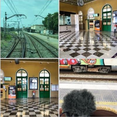 polytrain