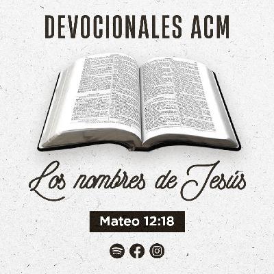 Los nombres de Jesús | Mateo 12:18 Los nombres de Jesús | Mateo 12:18